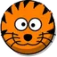 Tiger Finance