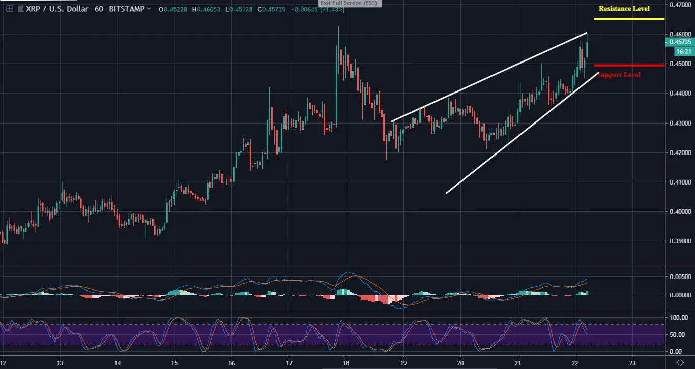 XRP 1 Hour Chart