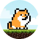 PlayDoge