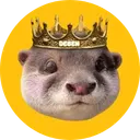 Degen The Otter