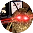 MOTH