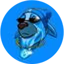 SUI Dog