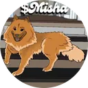 Misha
