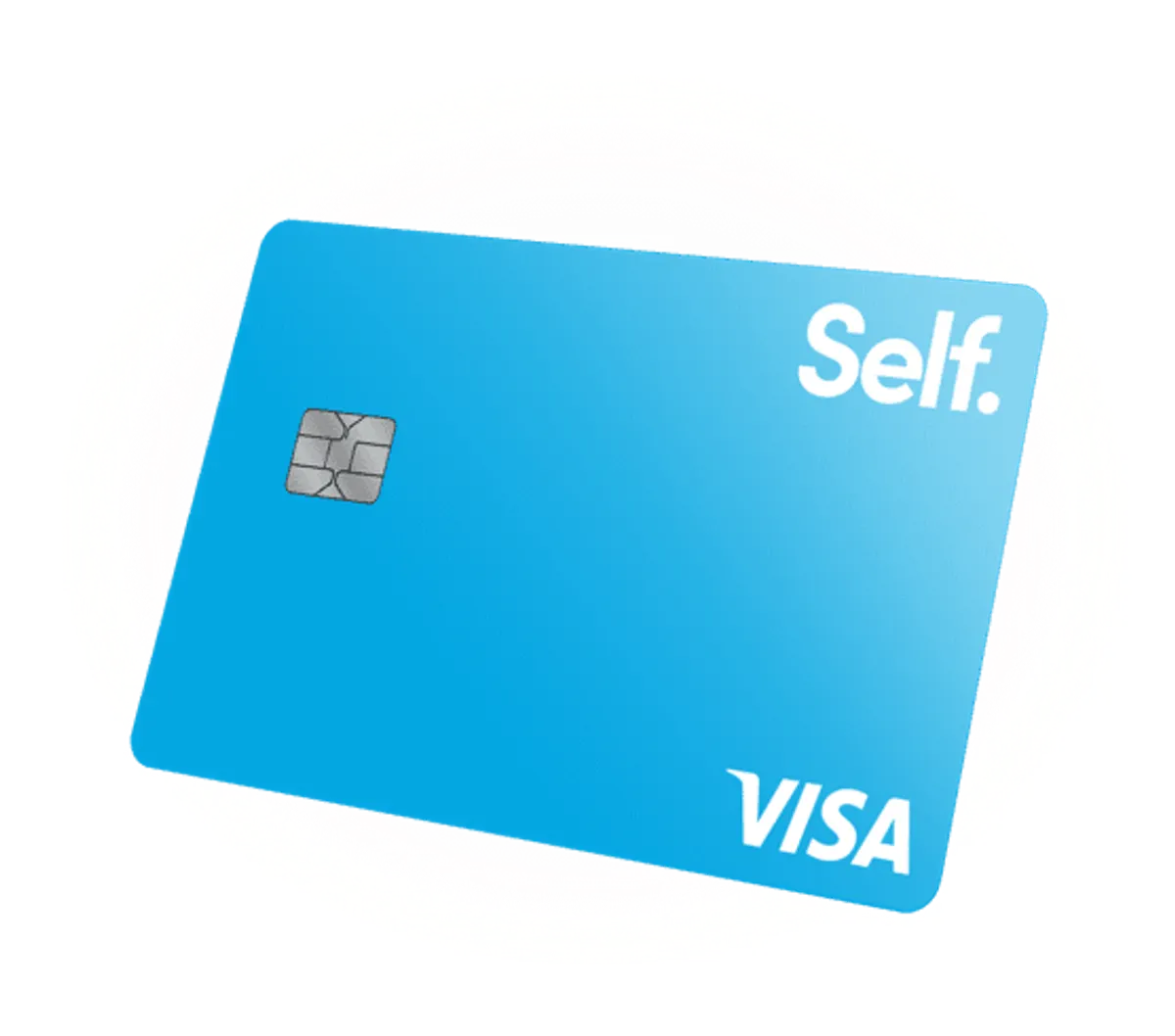 Self Visa secured