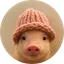 pig wif hat