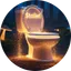 Toilet Dust