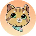 Ginnan The Cat