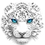 Snow Leopard