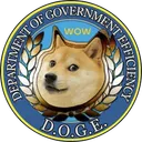 Department of Gov Efficiency