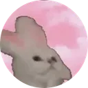 nod cat