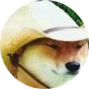 What in Tarnation?