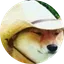 What in Tarnation?