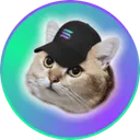 CatSolHat