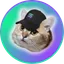 CatSolHat