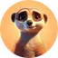 Memeerkat