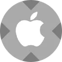Apple tokenized stock - xStock