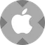 Apple tokenized stock - xStock