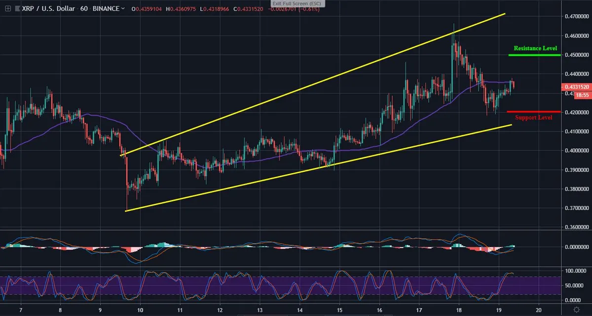 XRP 1 Hour Chart