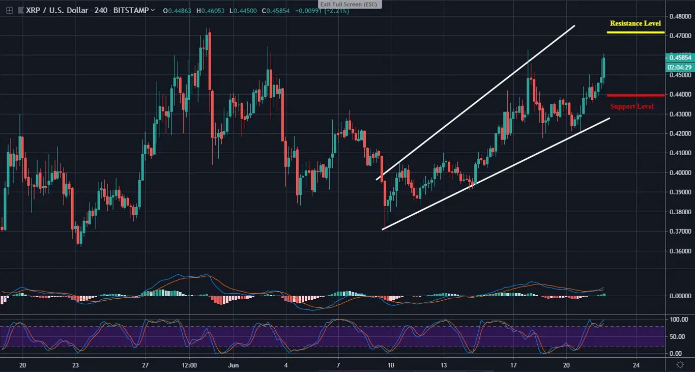 XRP 4 Hour Chart