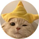 STAR CAT