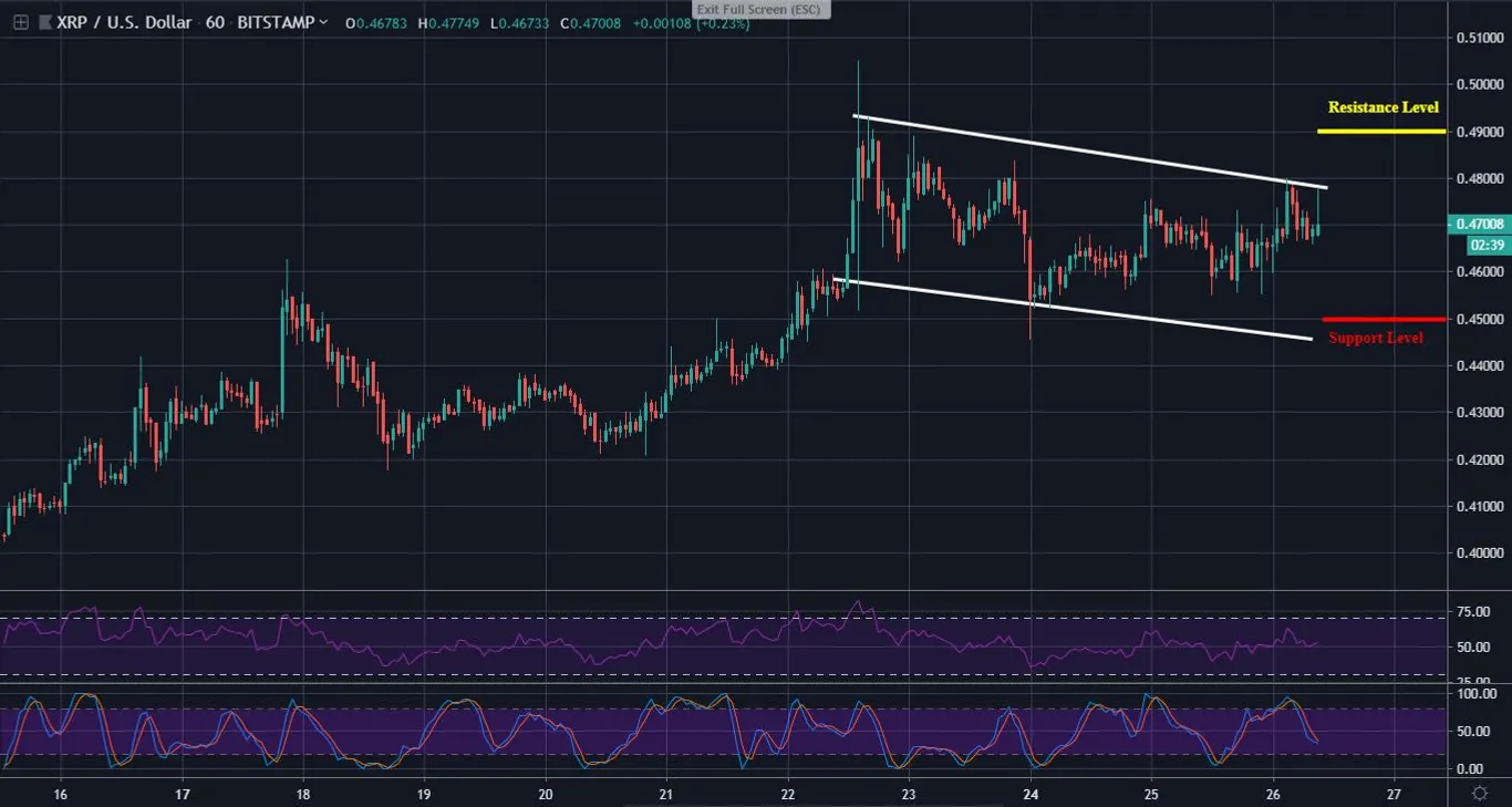 XRP 1 Hour Chart