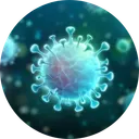 Immunity