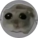 SAD HAMSTER