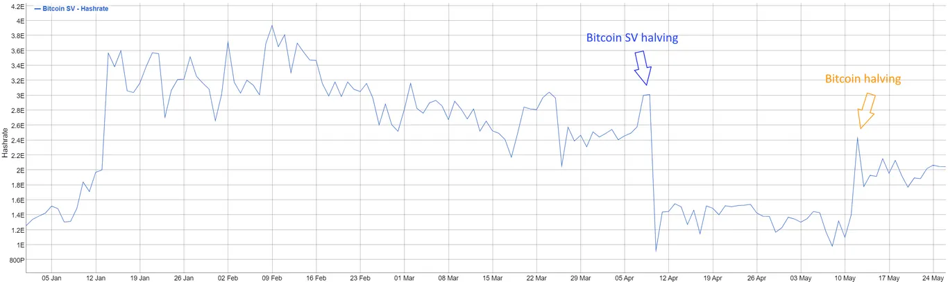 bitcoin sv halving hashrate
