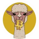 Alpaca