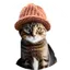 catwifhat
