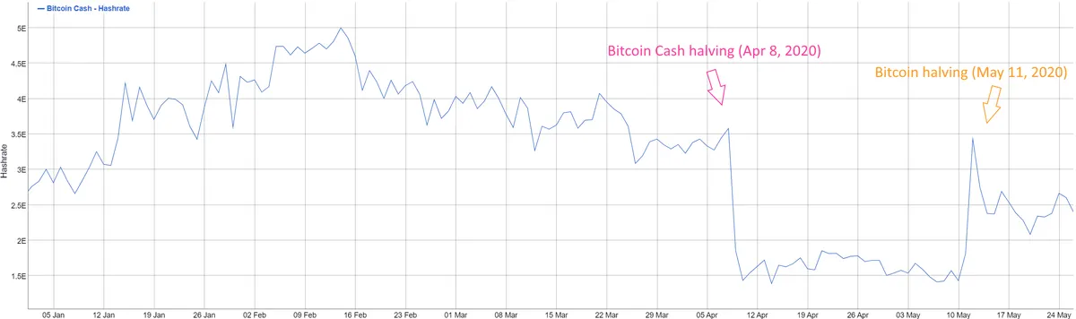 bitcoin cash halving hashrate