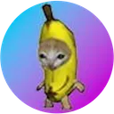 Banana Cat (Sol)