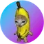Banana Cat (Sol)