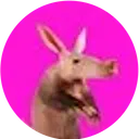 Aardvark