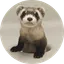 Sibert