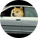 A Gently Used Car