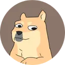 Doge's Retarded Brother
