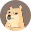 Doge's Retarded Brother