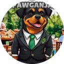 Pawganja Coin