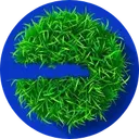 Touch Grass