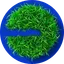 Touch Grass
