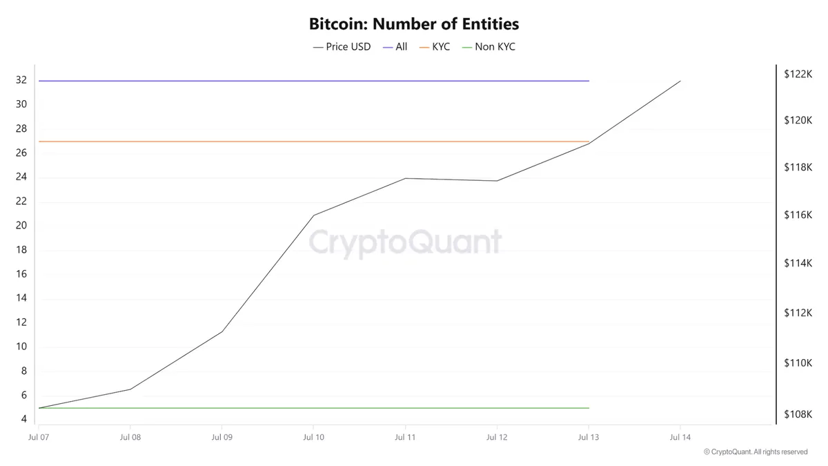 Bitcoin nubmer of entities