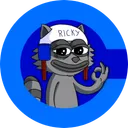 Ricky The Raccoon
