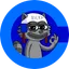 Ricky The Raccoon