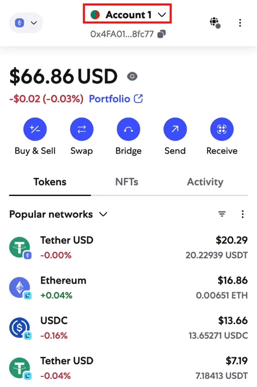 Adding Solana to MetaMask step 1