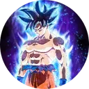 Goku Inu (gokuinu.xyz)