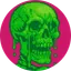 SKELETON