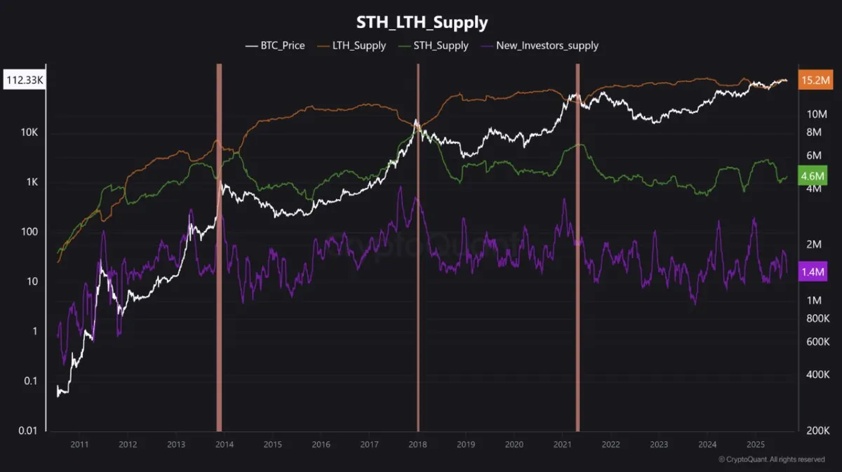 comparisons of LTG supply, STH and new investors