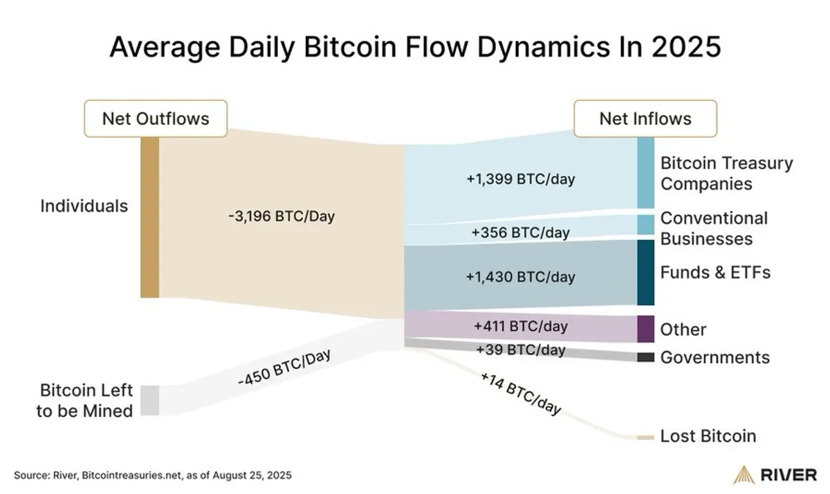 Average daily Bitcoin Flow Dynamics
