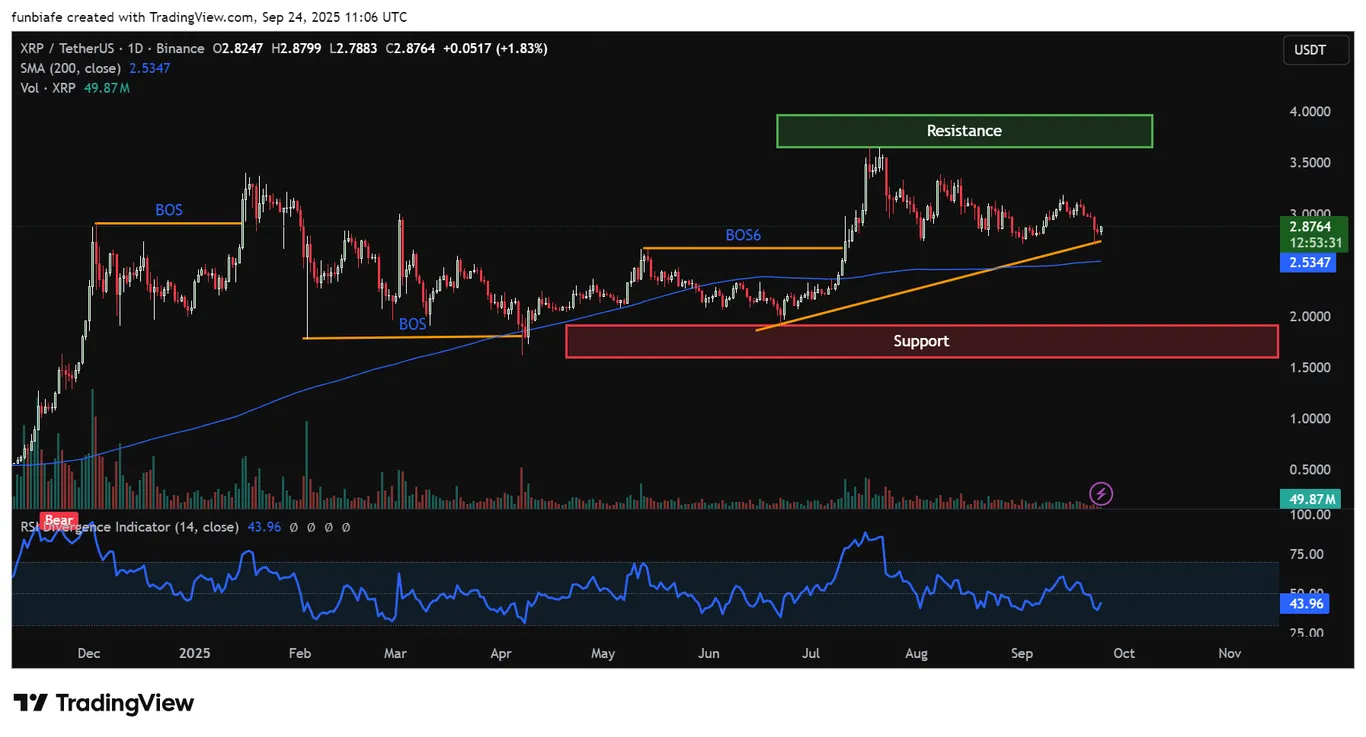 XRP daily chart TradingView